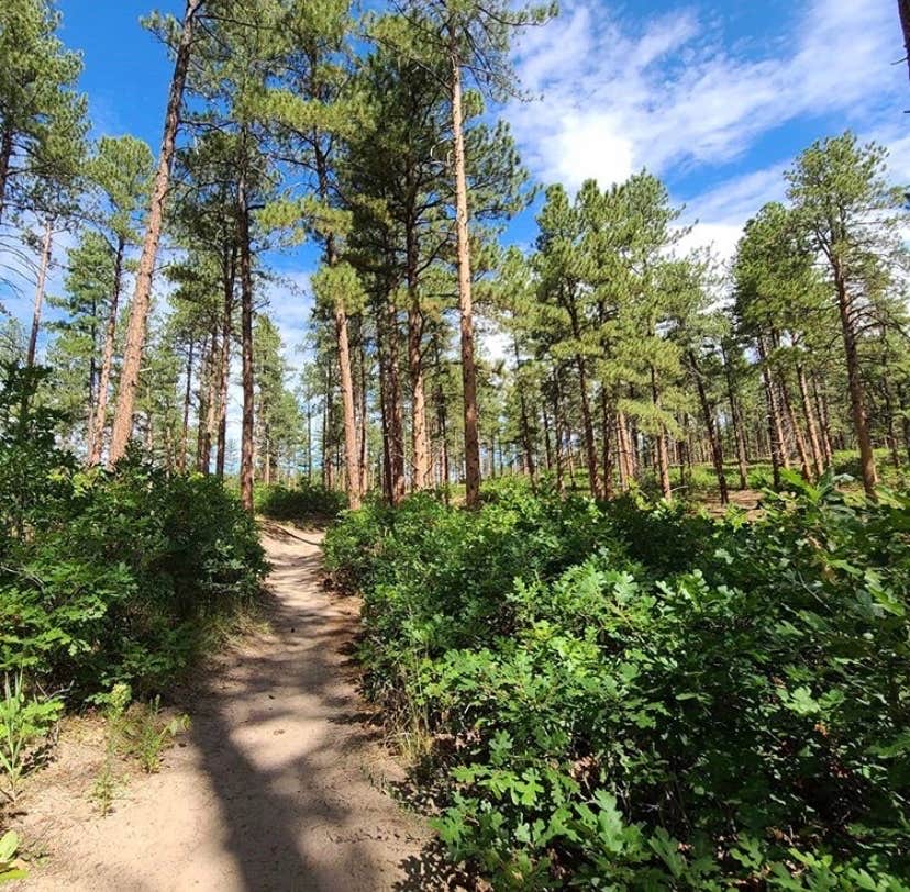 Camper submitted image from Jellystone Park™ at Larkspur - 2