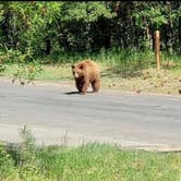 Review photo of Yogi Bear's Jellystone Park at Larkspur by Sarah F., September 1, 2020