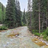 Review photo of Pike National Forest Whiteside Campground by Sarah F., September 1, 2020