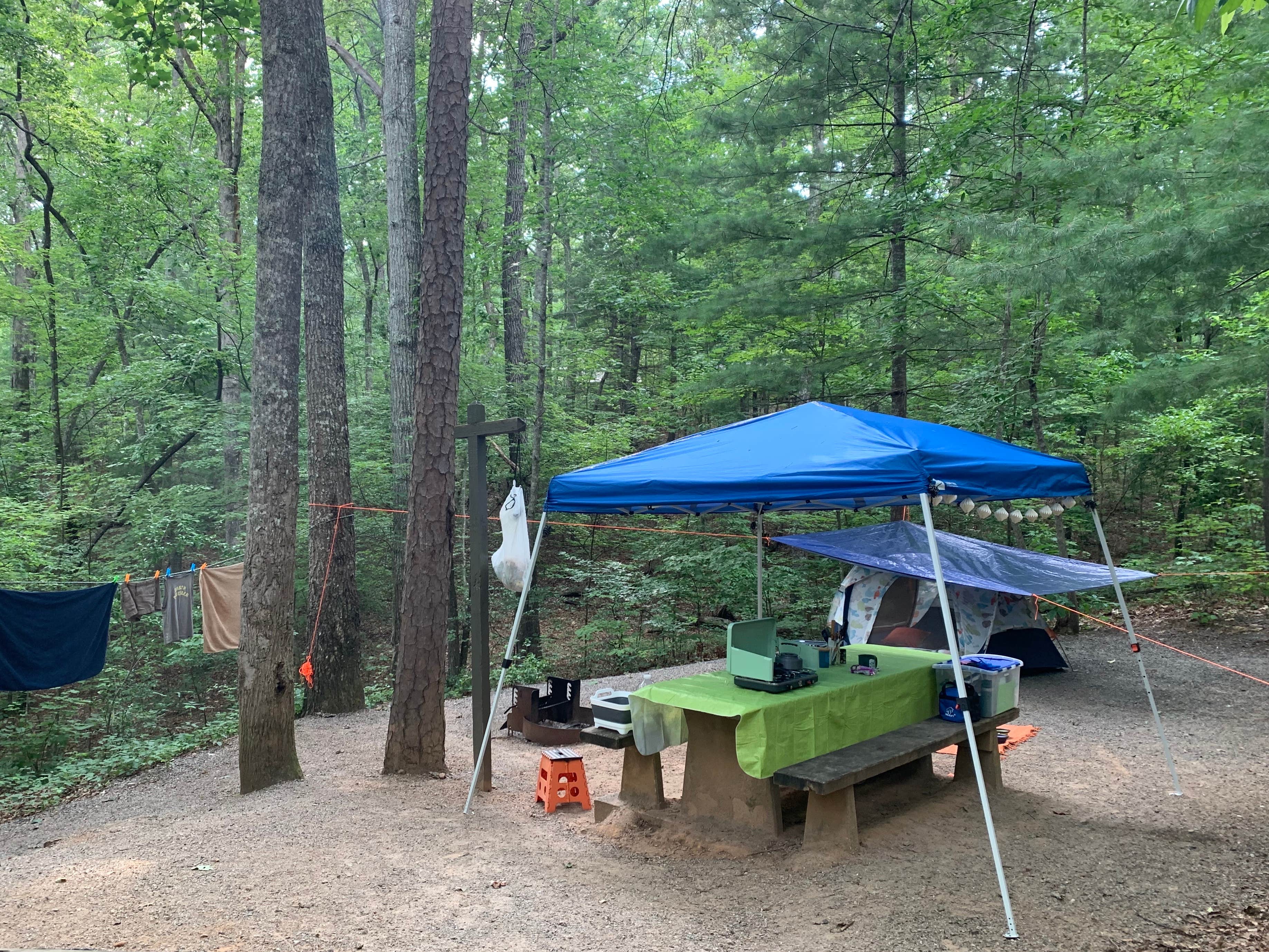 Anjanel P.'s photo at Lake Powhatan — National Forests In North Carolina near National Forests in North Carolina