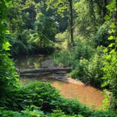 Review photo of Lake Powhatan — National Forests In North Carolina by Anjanel P., September 1, 2020