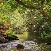 Review photo of Lake Powhatan — National Forests In North Carolina by Anjanel P., September 1, 2020