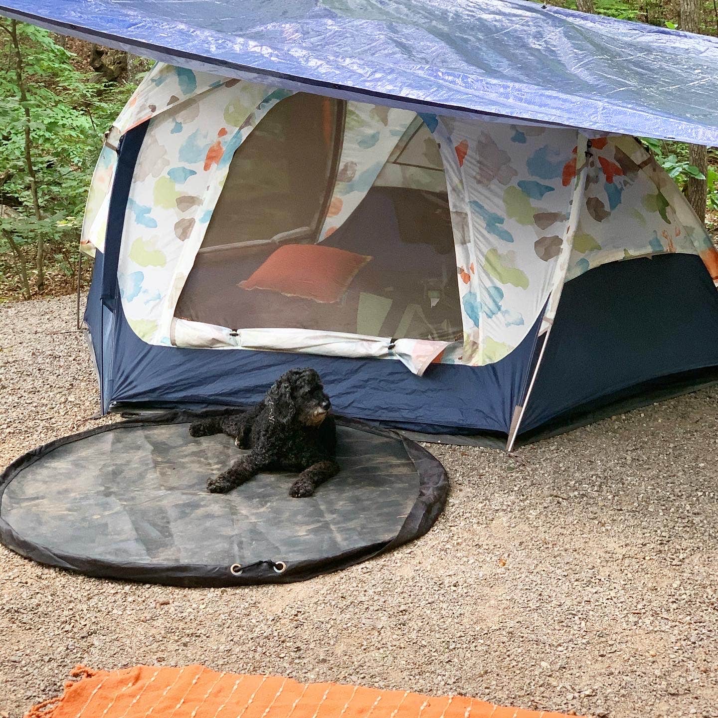 Anjanel P.'s photo at Lake Powhatan — National Forests In North Carolina near Arden, NC