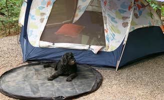 Anjanel P.'s photo at Lake Powhatan — National Forests In North Carolina near Arden, NC