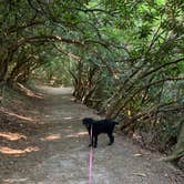 Review photo of Lake Powhatan — National Forests In North Carolina by Anjanel P., September 1, 2020