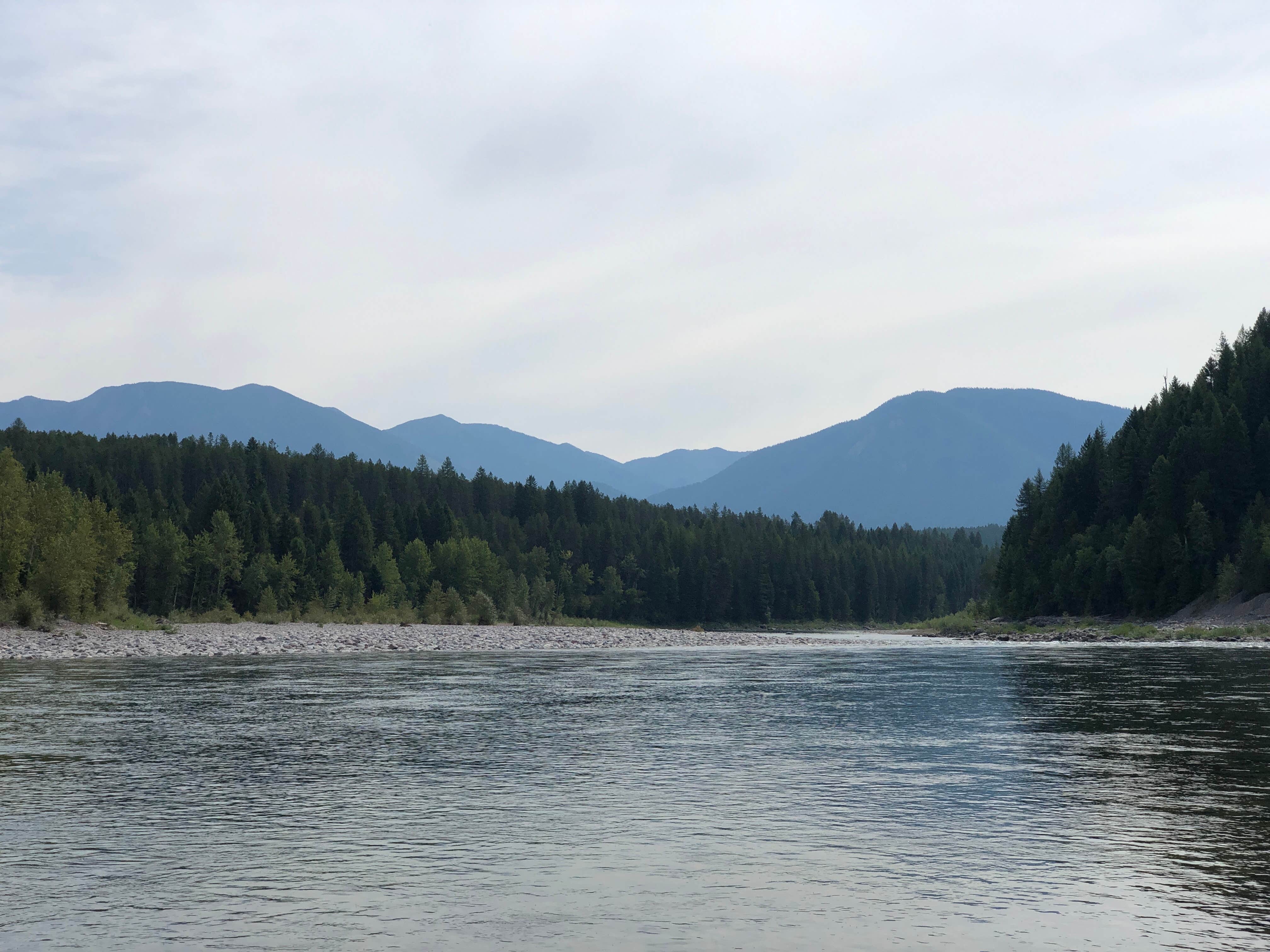 Denyel B.'s photo of a dispersed camping area at Middle Fork Flathead River Dispersed near Stryker, MT