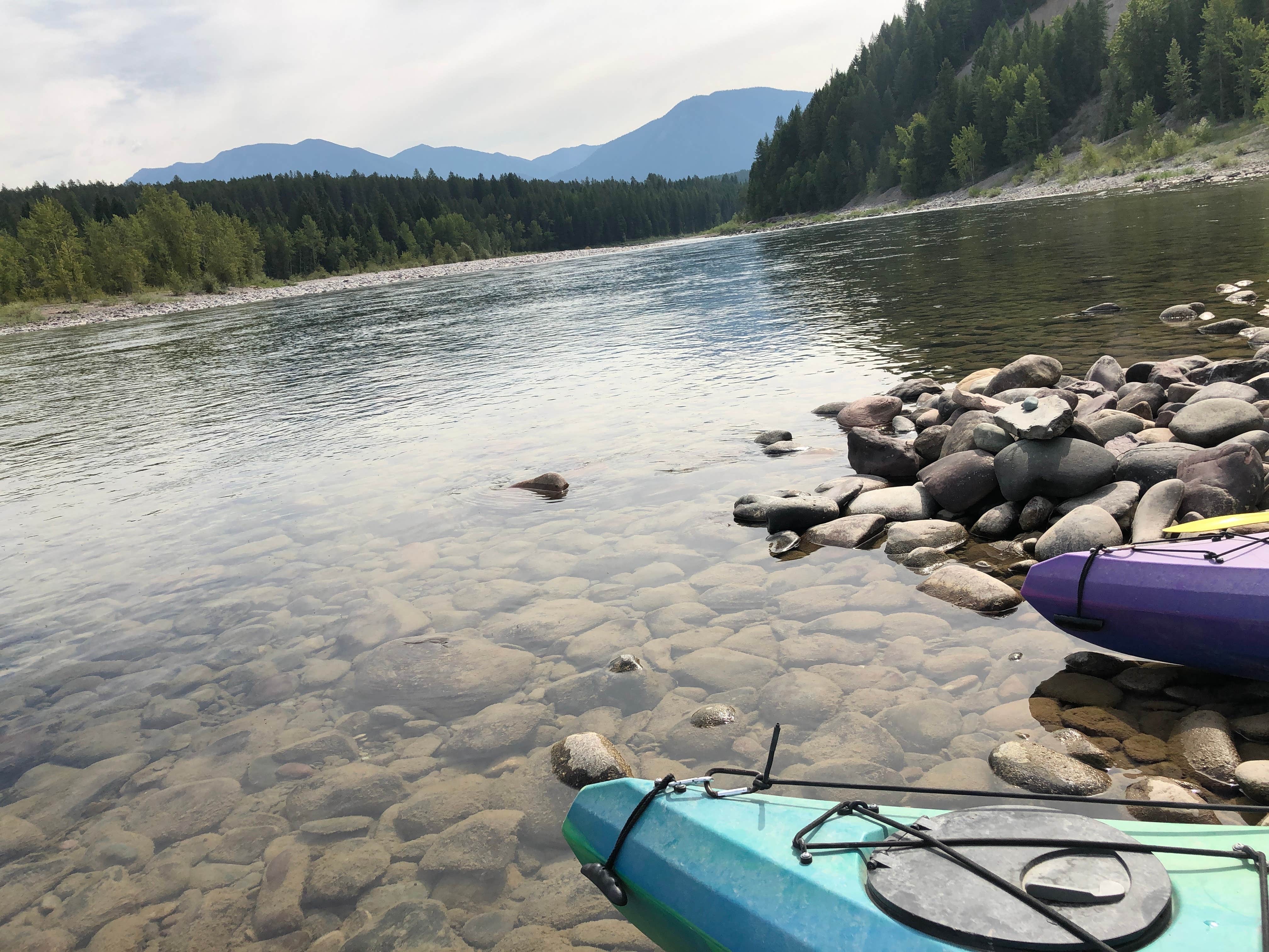 Camper submitted image from Middle Fork Flathead River Dispersed - 1