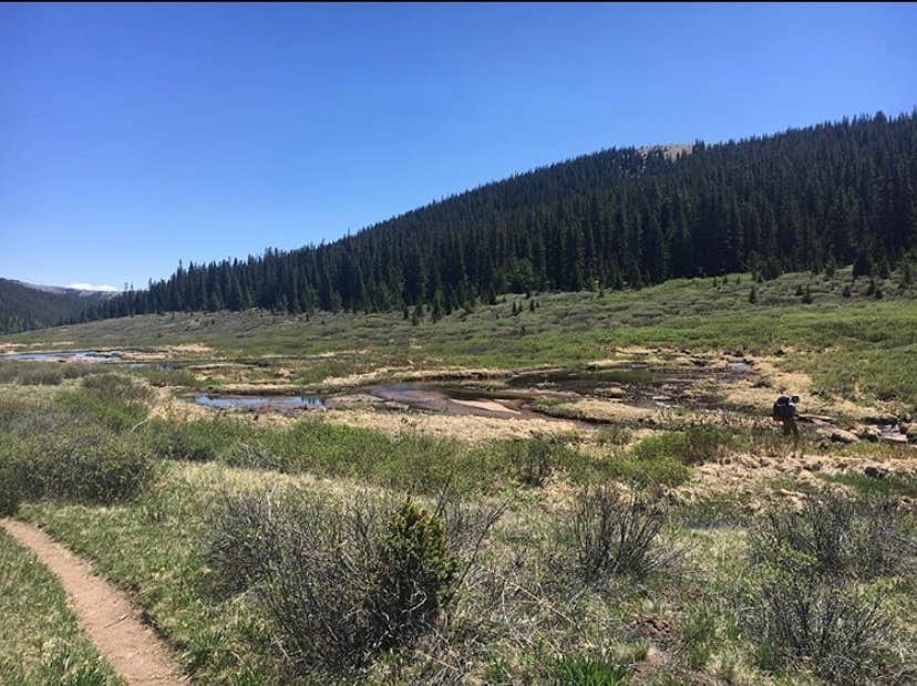 Camper-submitted photo at Rich Creek Campground near Granite, CO
