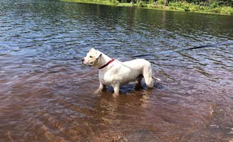 Courtney D.'s photo of camping with pets at North-South Lake Campground near Palenville, NY