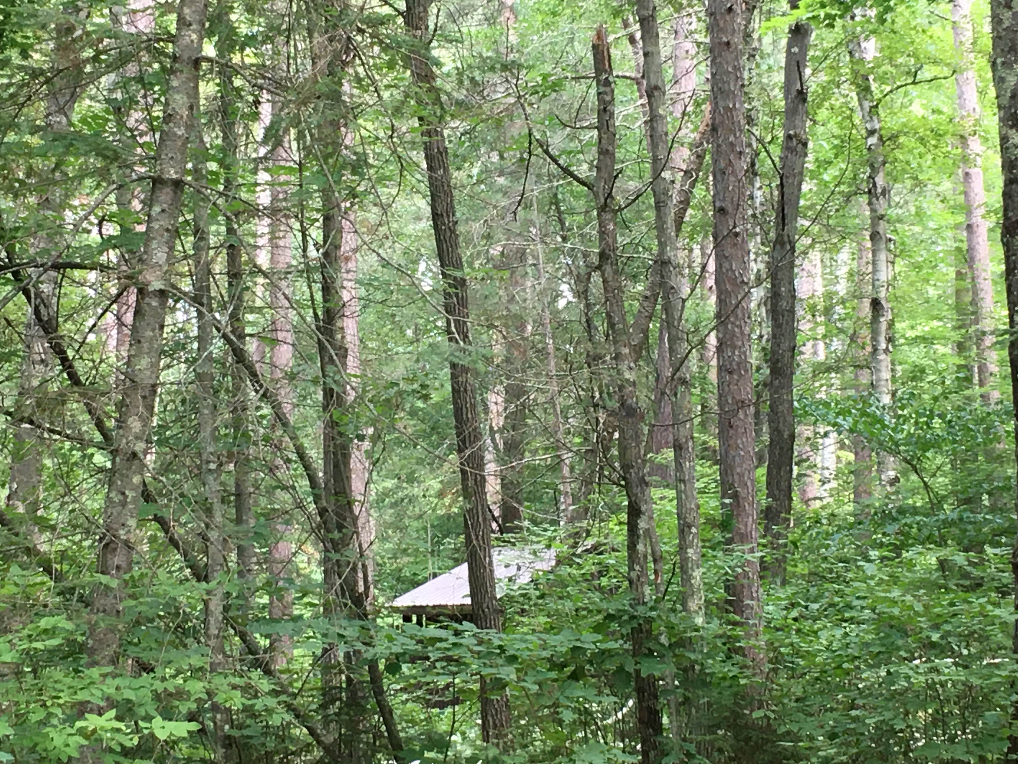 Camper submitted image from Tamarack Point Campground - 3