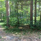 Review photo of Tamarack Point Campground by Janet R., September 1, 2020