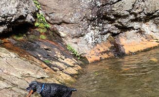 Anjanel P.'s photo of camping with pets at Hanging Rock State Park Campground near Mayodan, NC