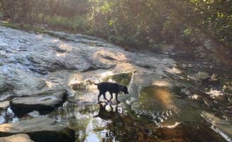 Anjanel P.'s photo of camping with pets at Hanging Rock State Park Campground near Cana, VA