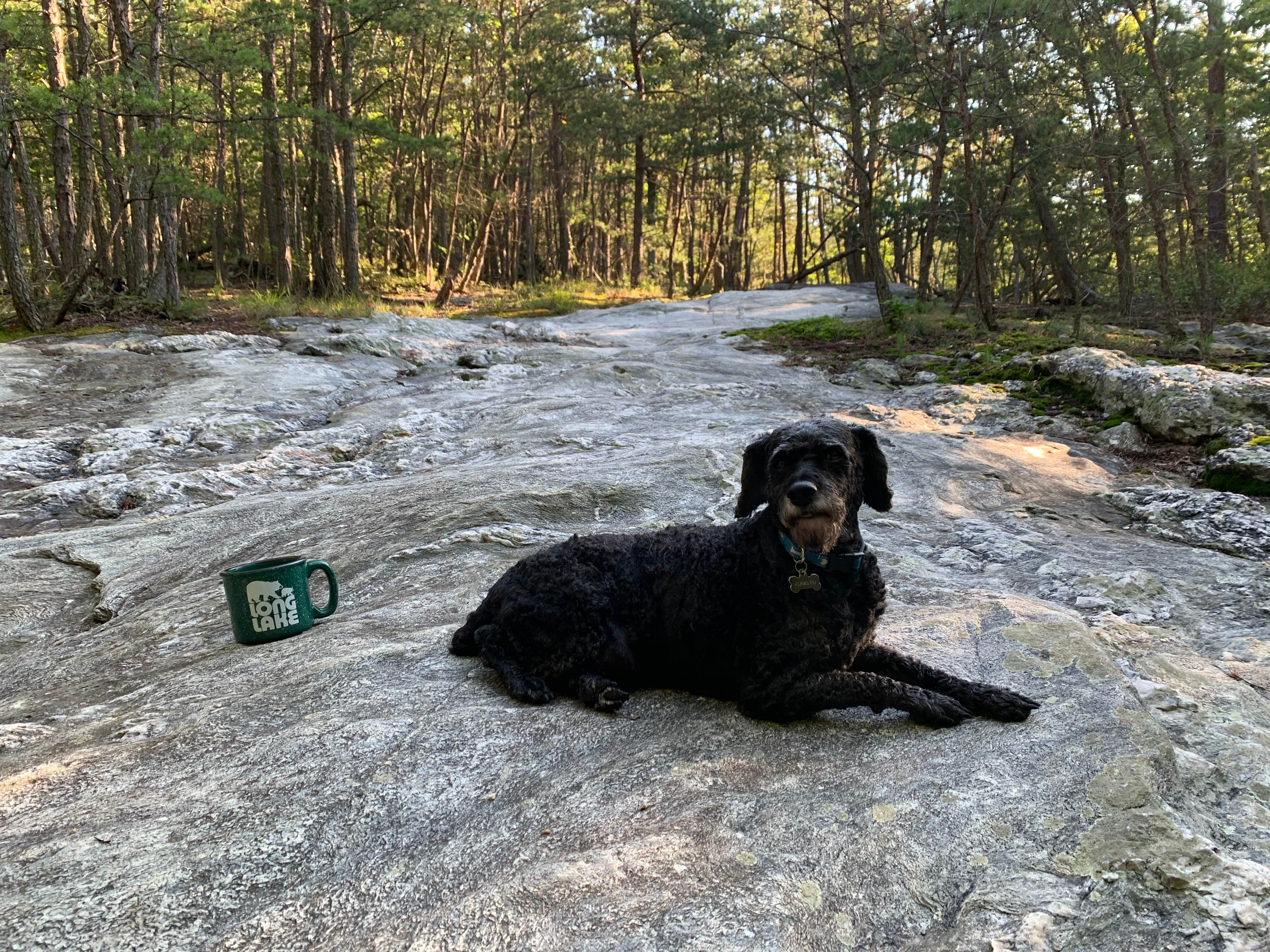 Anjanel P.'s photo of camping with pets at Hanging Rock State Park Campground near Mount Airy, NC