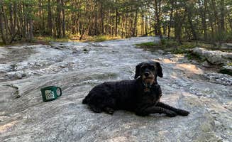 Anjanel P.'s photo of camping with pets at Hanging Rock State Park Campground near Summerfield, NC