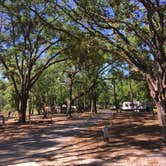 Review photo of Highlands Hammock State Park Campground by Colette M., May 12, 2018