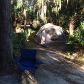 Review photo of Oscar Scherer State Park Campground by Colette M., May 12, 2018