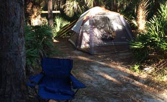Colette M.'s photo at Oscar Scherer State Park Campground near Nokomis, FL