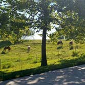 Review photo of Hackberry Hollow Campground — Indian Cave State Park by Tony B., September 1, 2020