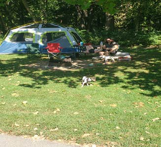 Camper-submitted photo from Hackberry Hollow Campground — Indian Cave State Park