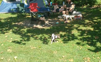 Tony B.'s photo of camping with pets at Hackberry Hollow Campground — Indian Cave State Park near Falls City, NE