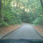 Review photo of Hackberry Hollow Campground — Indian Cave State Park by Tony B., September 1, 2020