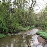 Review photo of Stony Fork Campground by Liz H., May 12, 2018