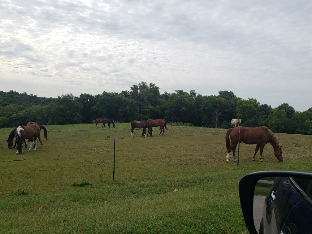 Tony B.'s photo of camping with a horse at Hackberry Hollow Campground — Indian Cave State Park near Falls City, NE