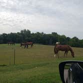 Review photo of Hackberry Hollow Campground — Indian Cave State Park by Tony B., September 1, 2020