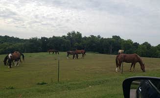 Tony B.'s photo of camping with a horse at Hackberry Hollow Campground — Indian Cave State Park near Forest City, MO