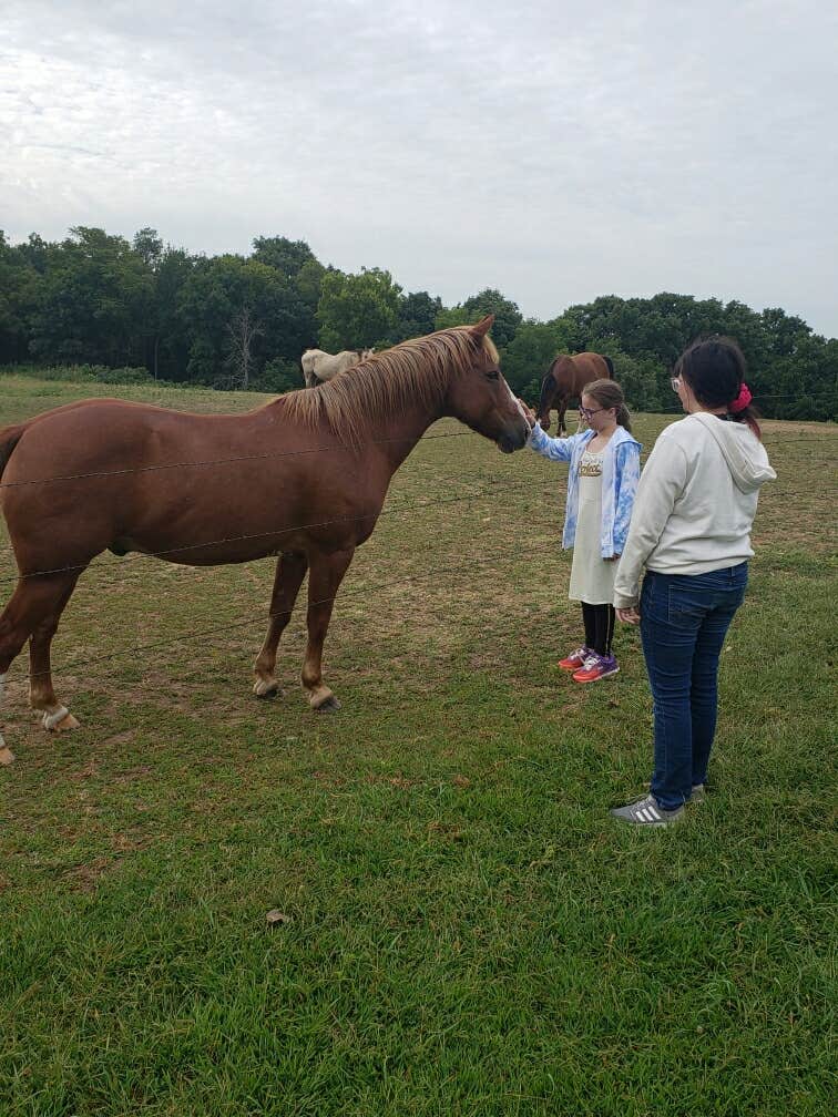 Tony B.'s photo of camping with a horse at Hackberry Hollow Campground — Indian Cave State Park near Skidmore, MO