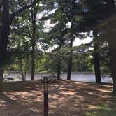 Review photo of Pokegama Dam Campground by Janet R., September 1, 2020