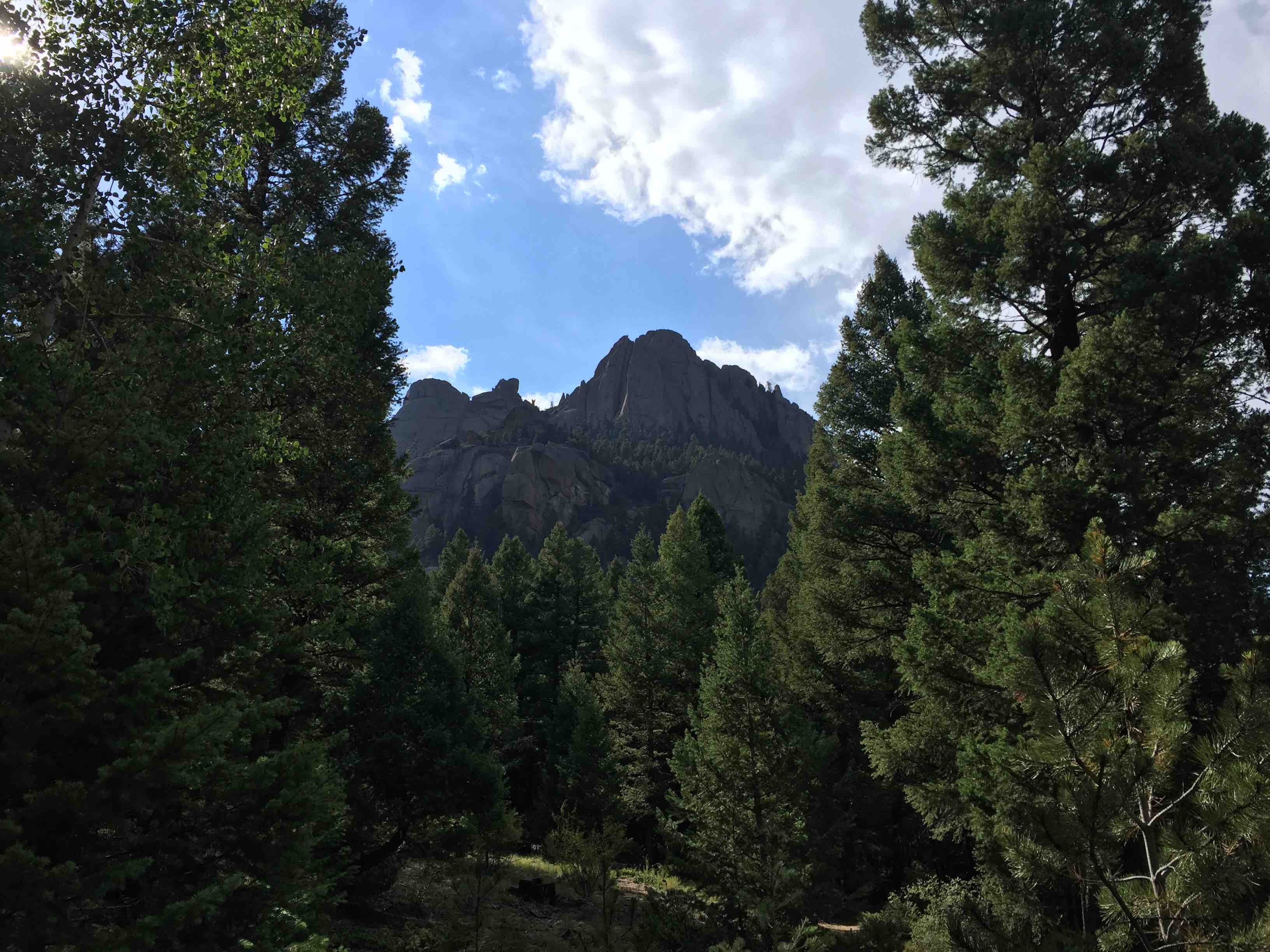 Camper submitted image from Castle Mountain Recreation Area at Wellington Lake - 2