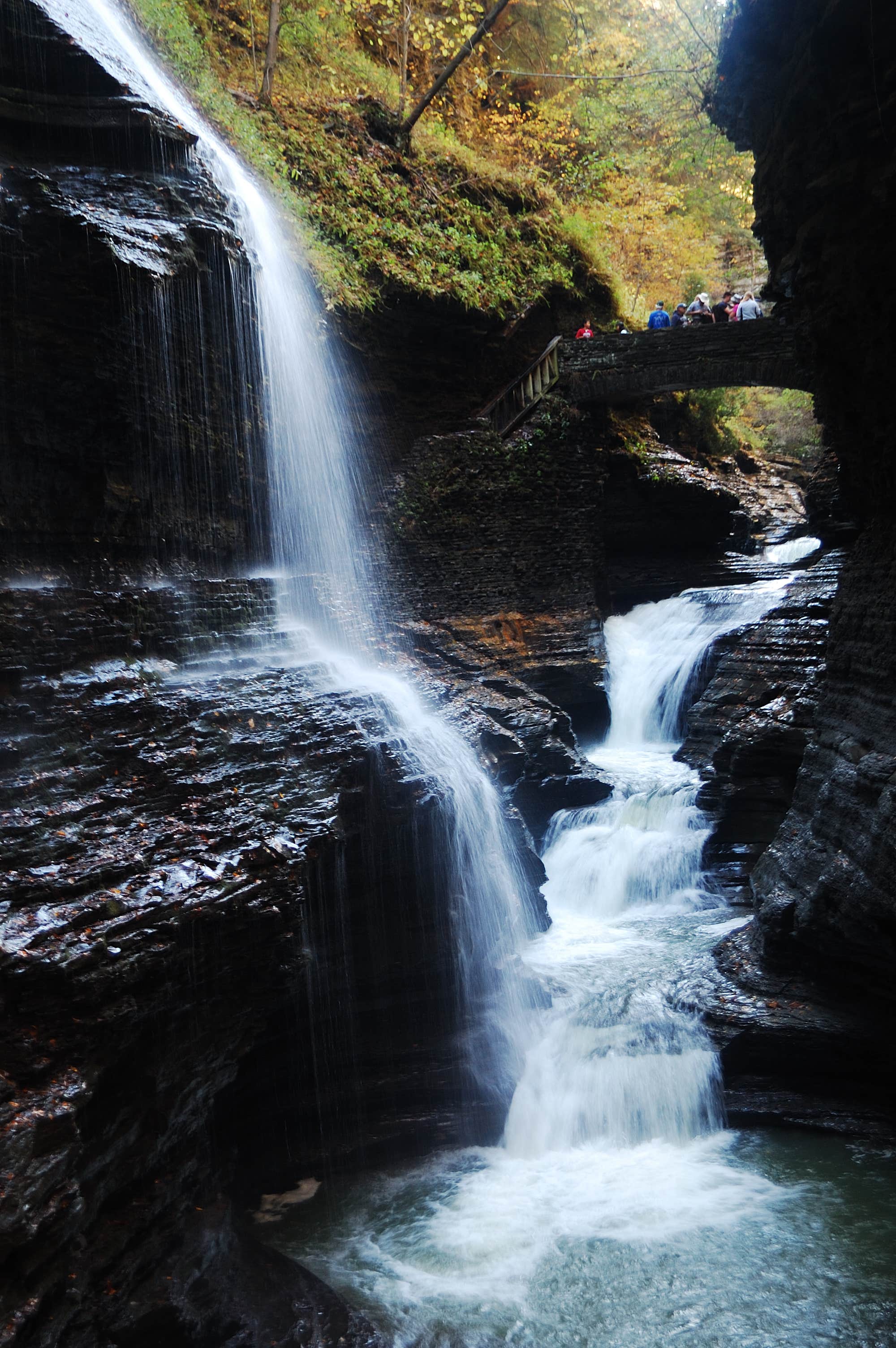 Camper submitted image from Robert H. Treman State Park Campground - 2