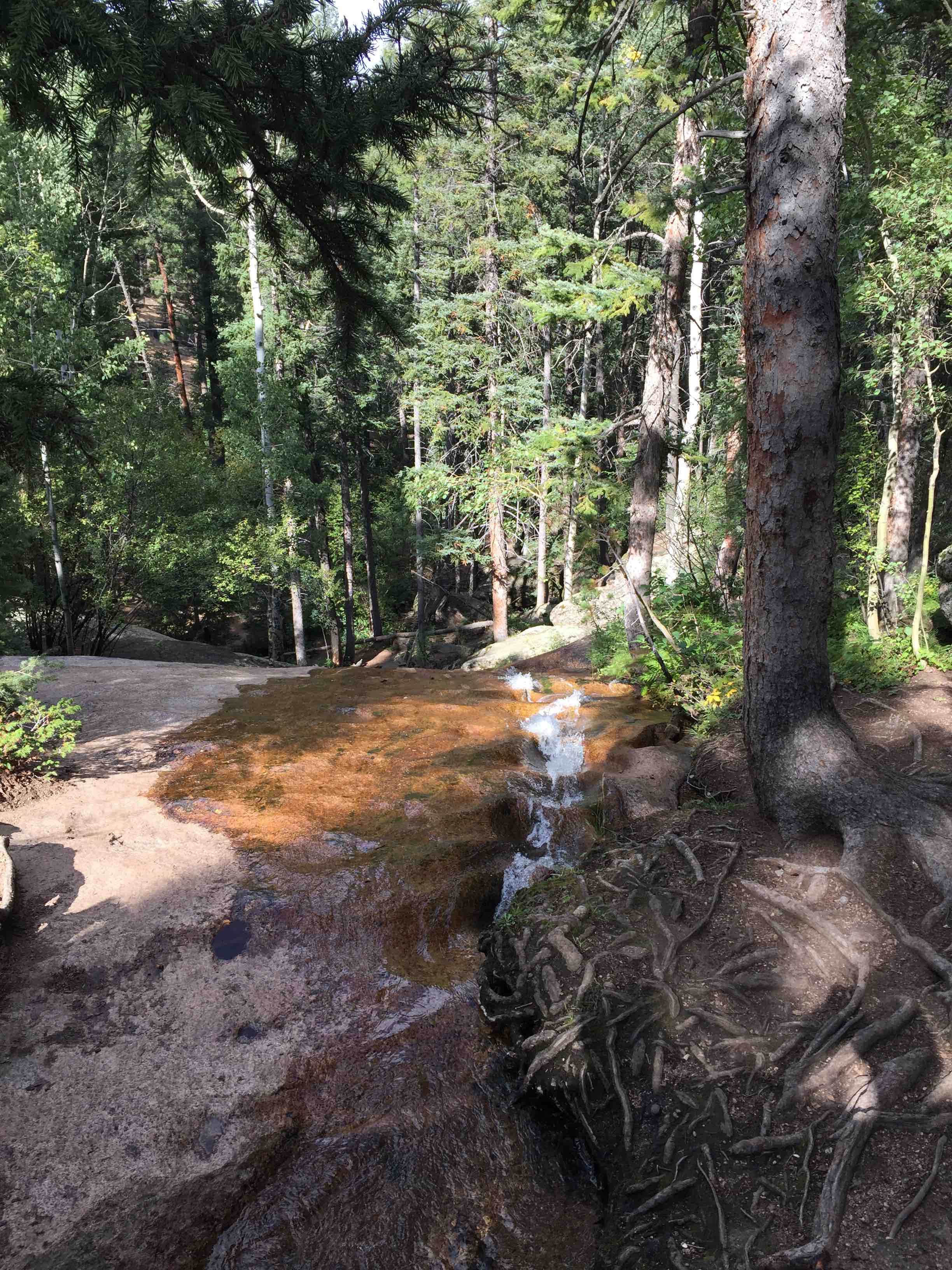 Camper submitted image from Castle Mountain Recreation Area at Wellington Lake - 3