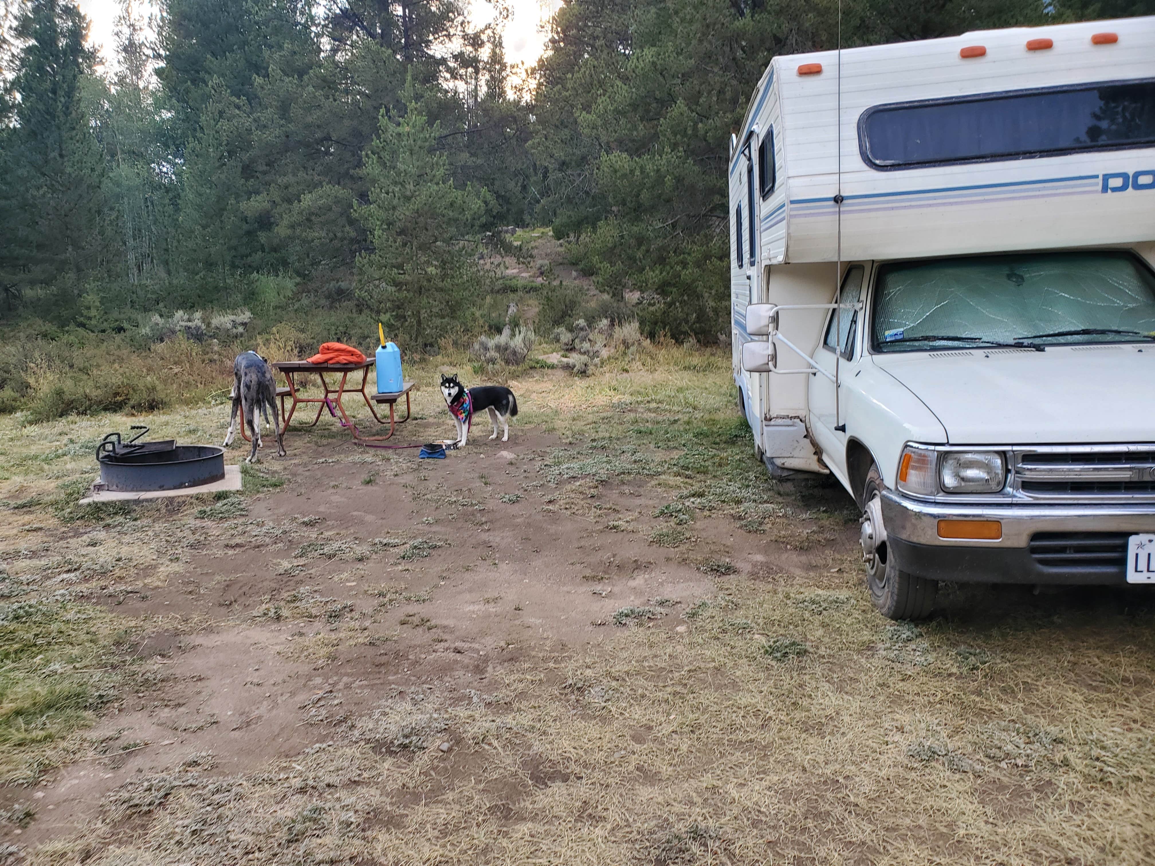 Katie H.'s photo of camping with pets at Sugar Loafin' RV/Campground & Cabins near Leadville, CO