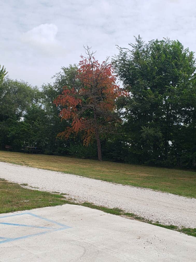 Camper submitted image from Verdon Lake State Rec Area - 2