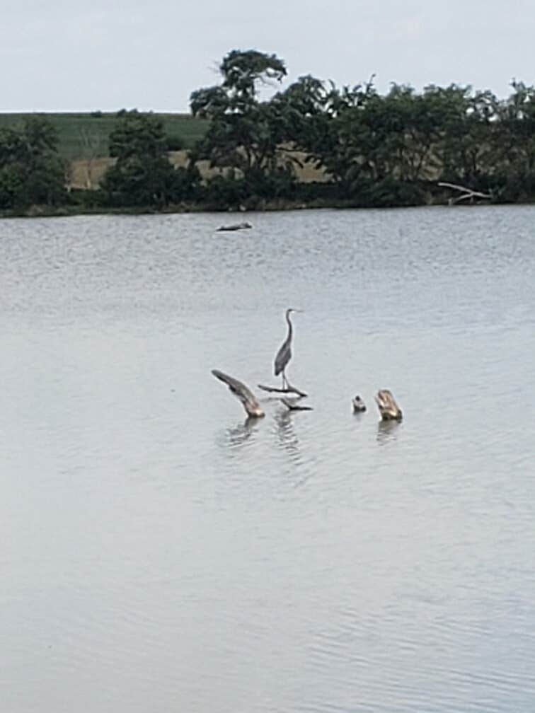 Camper-submitted photo at Verdon Lake State Rec Area near Shubert, NE