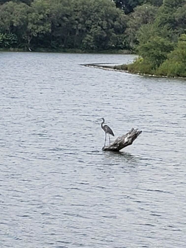Camping near Big Lake State Park Campground: Verdon Lake State Rec Area, Shubert, Nebraska