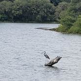 Review photo of Verdon Lake  State Rec Area by Tony B., September 1, 2020