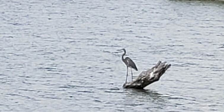 Camper submitted image from Verdon Lake State Rec Area