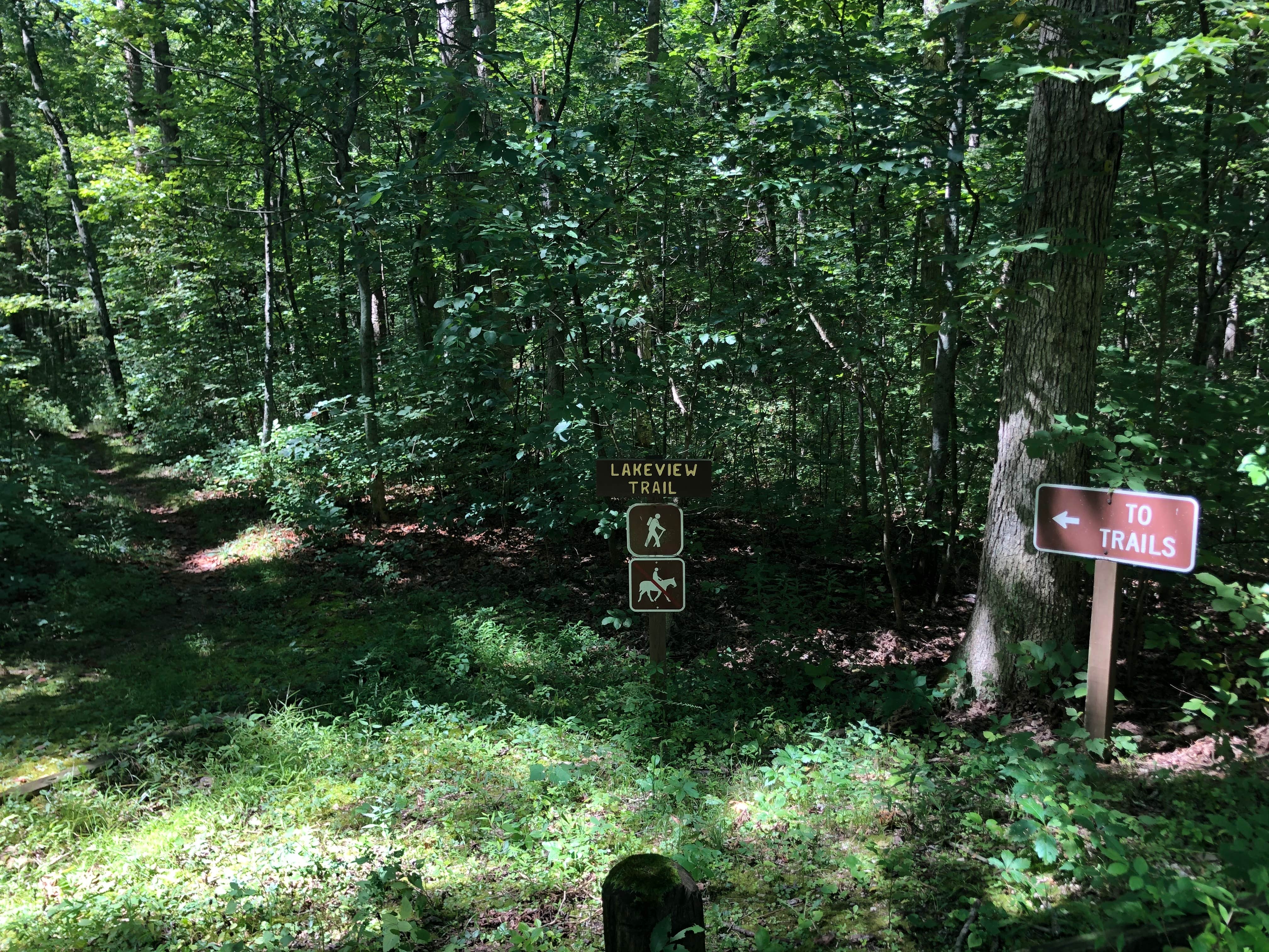 Camper-submitted photo at Burr Oak Cove Campground near Corning, OH