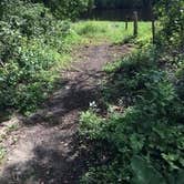 Review photo of Grand Rapids Library Park Watertrail Watercraft Campsite by Janet R., September 1, 2020