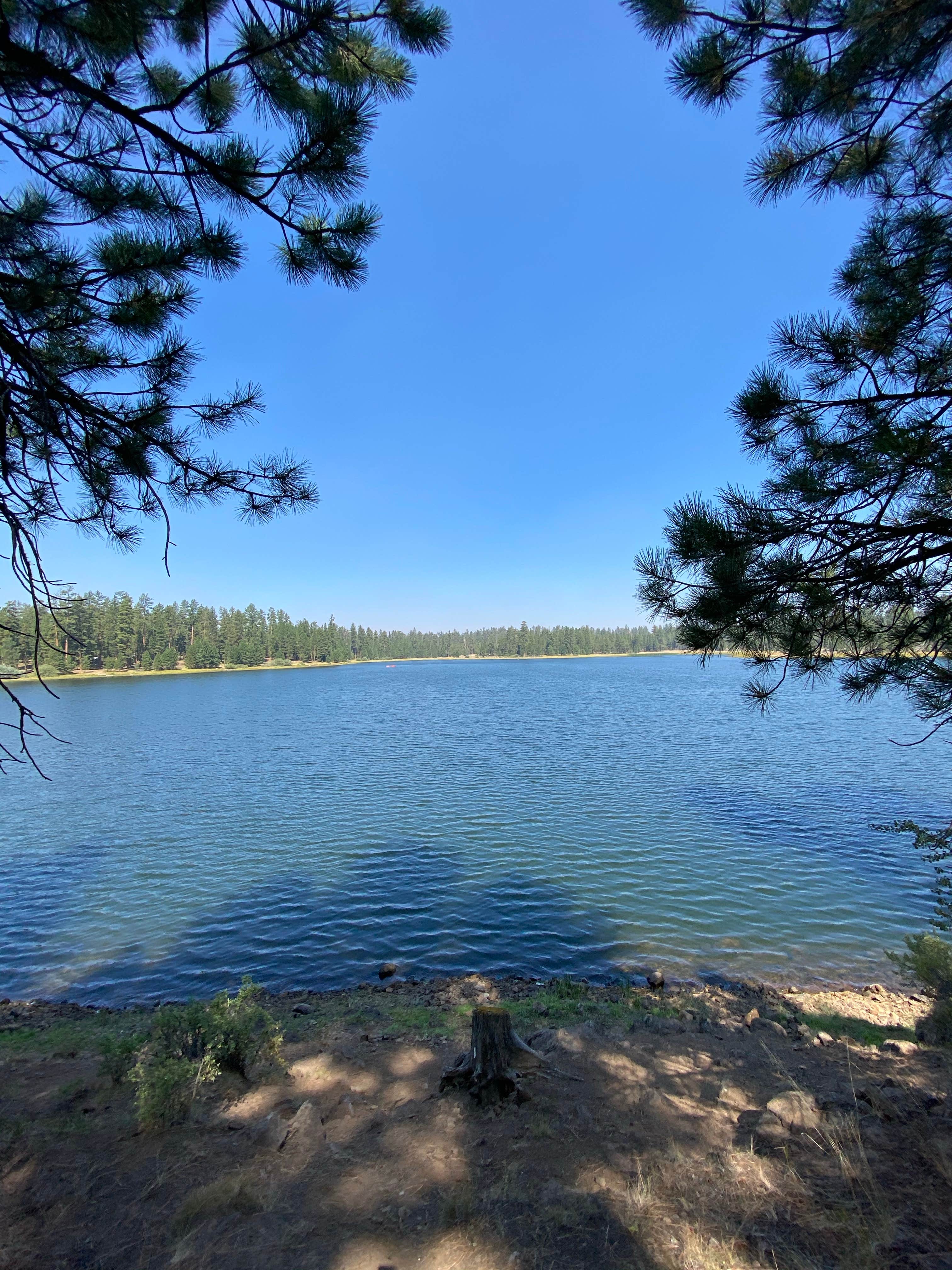 Camper submitted image from Delintment Lake - 3