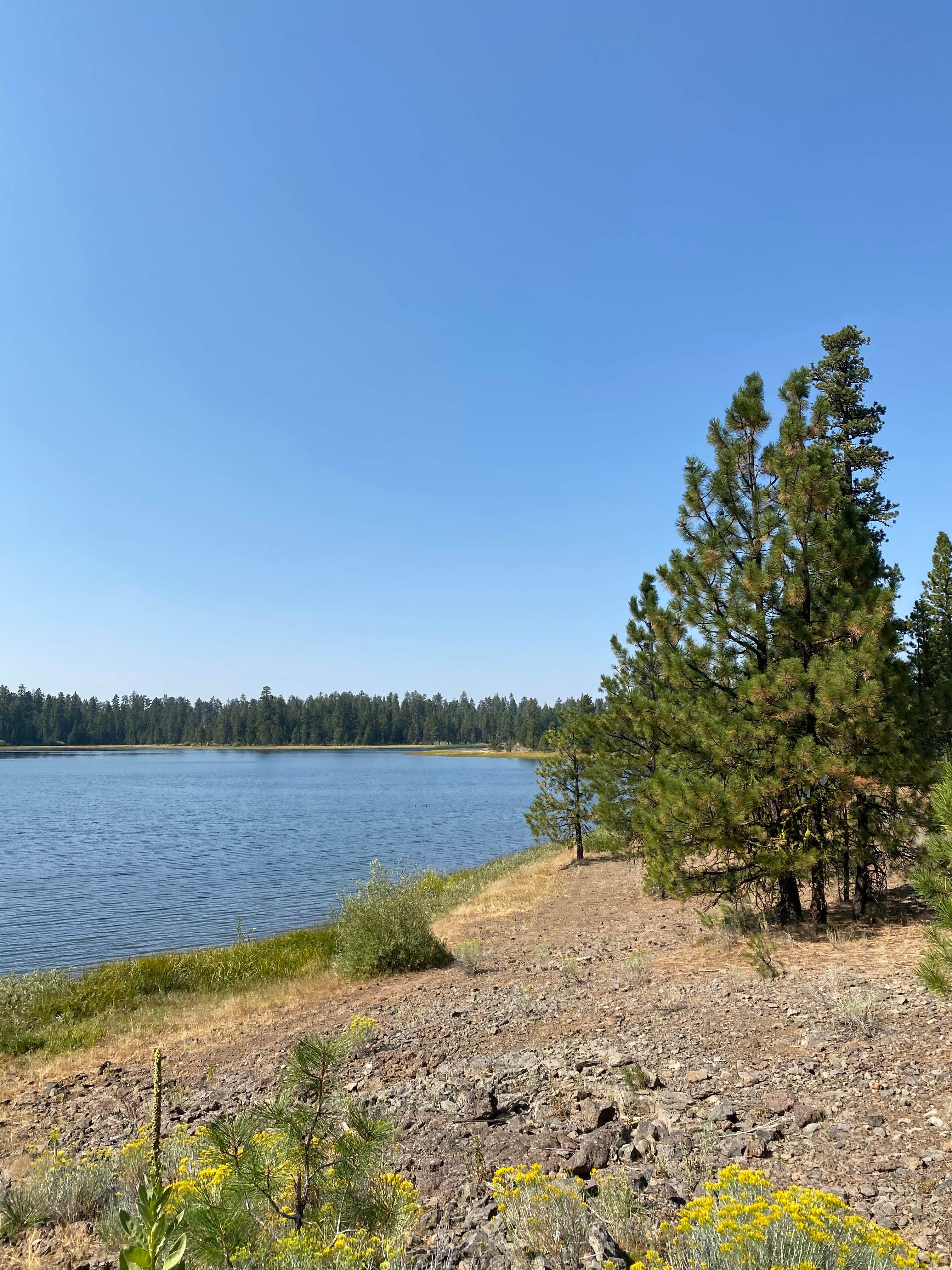 Camper submitted image from Delintment Lake - 3