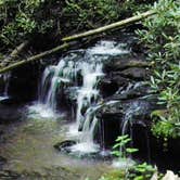 Review photo of Keowee-Toxaway State Park by Myron C., September 1, 2020