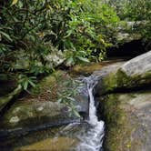 Review photo of Keowee-Toxaway State Park by Myron C., September 1, 2020