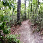 Review photo of Keowee-Toxaway State Park by Myron C., September 1, 2020