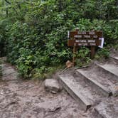 Review photo of Keowee-Toxaway State Park by Myron C., September 1, 2020