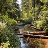 Review photo of Silver Falls State Park Campground by Amanda B., September 1, 2020